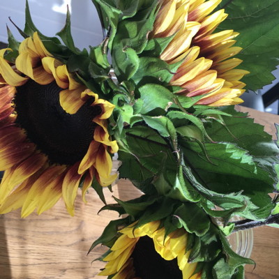 Sunflowers_Thumb.jpg